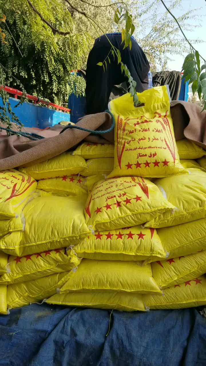 برنج عنبربو شلتوک شالیکوبی مستقیم|خوردنی و آشامیدنی|شیراز, شهرک ولیعصر|دیوار