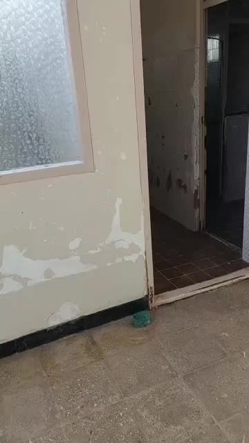 اجاره خانه باغ|اجارهٔ خانه و ویلا|مهریز, |دیوار