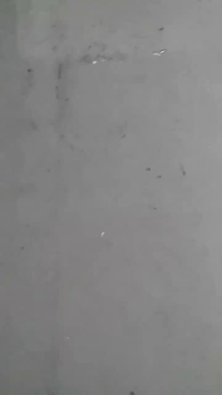 موکت|موکت|مشهد, طبرسی شمالی|دیوار