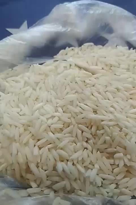 برنج آستانه اشرفیه محصول امسال|خوردنی و آشامیدنی|باغستان, |دیوار