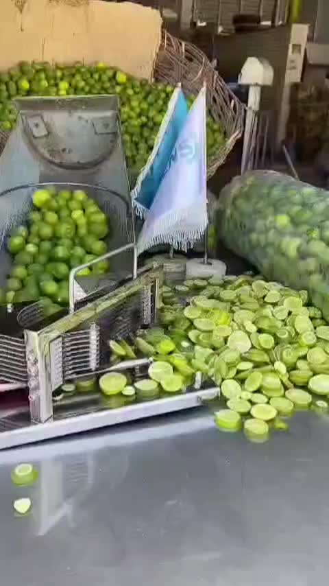 اسلایسر لیمو|خردکن، آسیاب، غذاساز|جهرم, |دیوار