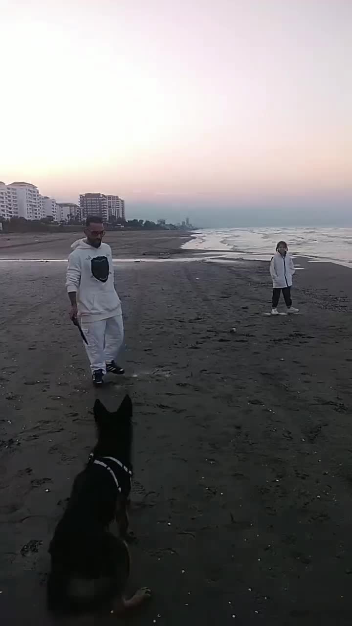 واگذاری سگ ژرمن|سگ|باقرشهر, |دیوار