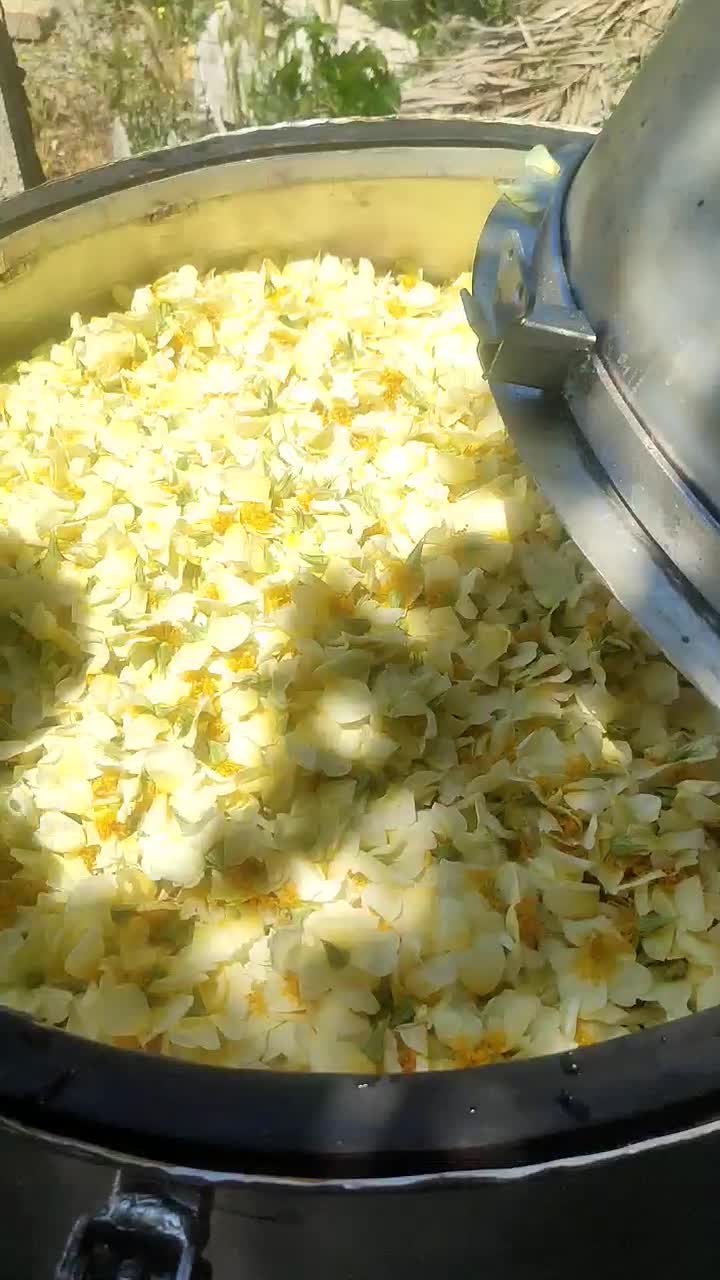 عرق بیدمشک و نسترن|خوردنی و آشامیدنی|شیراز, دارالرحمه|دیوار