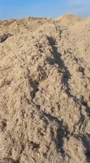 کاه|خدمات باغبانی و درختکاری|کارون, |دیوار