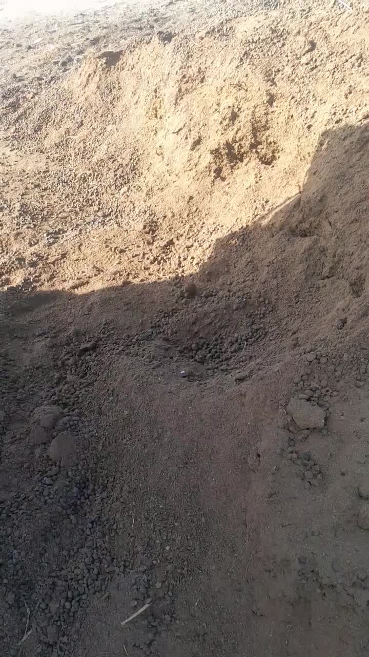 توافقی|خدمات باغبانی و درختکاری|انزل, |دیوار