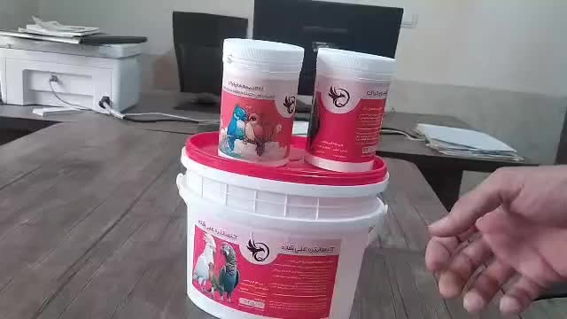 ۵۰عددمرغ عشق رینبورنگین کمانی ومعمولی ۱۰تومن آیهان|پرنده|خوی, |دیوار