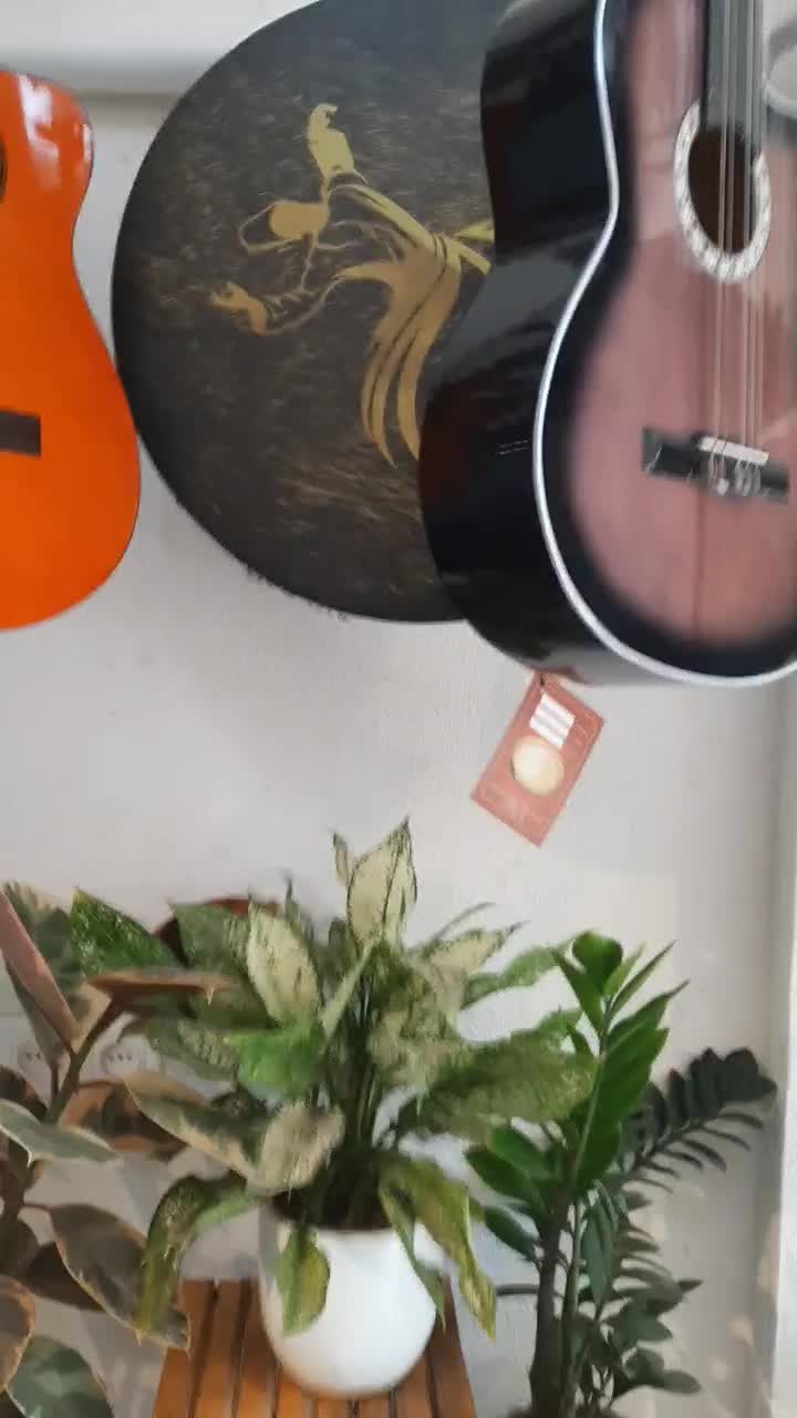 گیتار کارکرده|گیتار، بیس، امپلیفایر|مینودشت, |دیوار