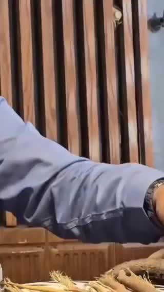 آنغوزه کاشت داشت و برداشت نشا|خدمات باغبانی و درختکاری|مشهد, شهید آوینی|دیوار