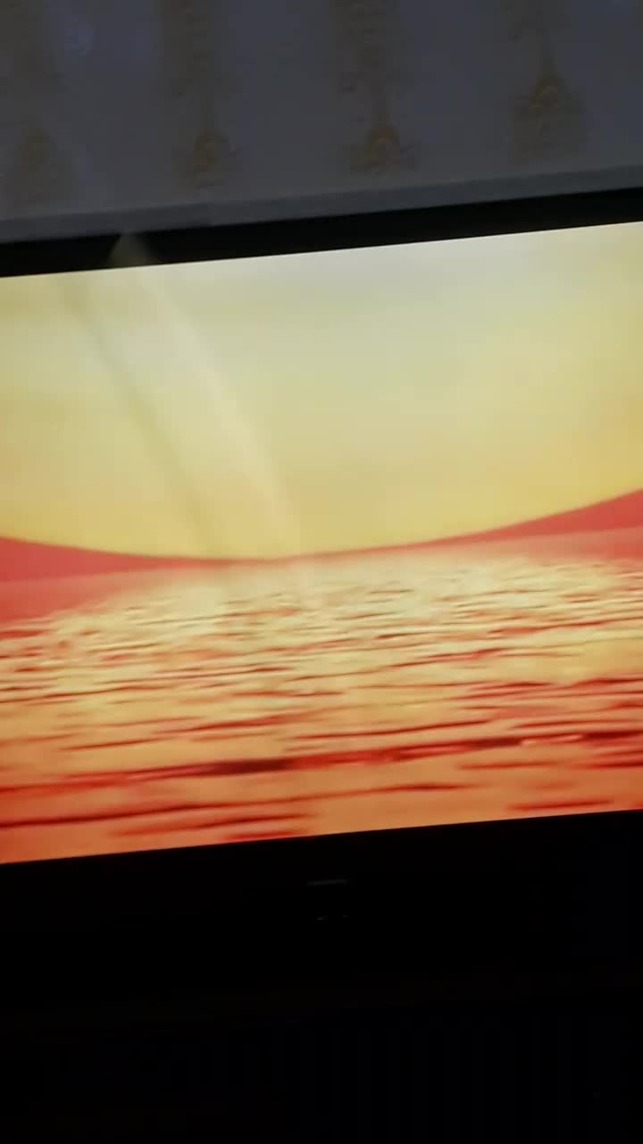 فوری|سگ|گرگان, |دیوار