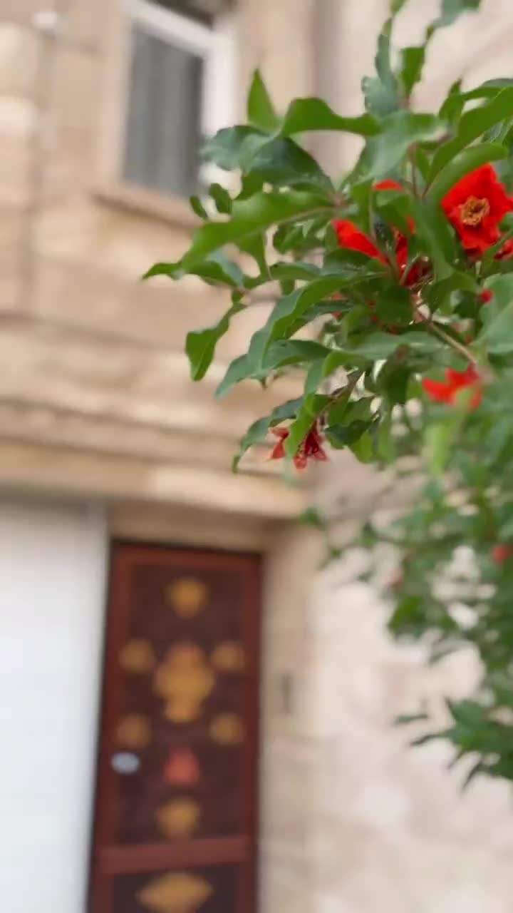 آپارتمان تک واحدی سندتک برگ|فروش آپارتمان|ورامین, شهرک فاطمیه|دیوار