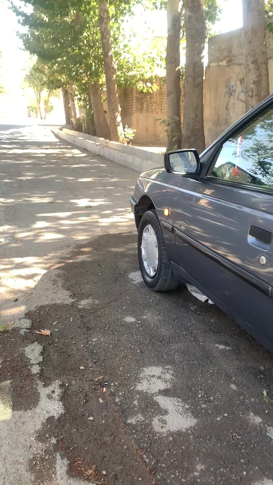 405 دلفینی|خودرو سواری و وانت|هشتگرد, ینگی امام|دیوار