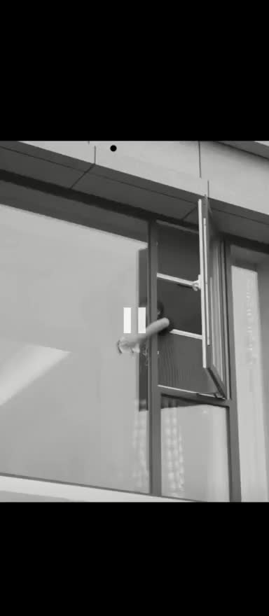 شیشه پاک کن دوطرفه آهنربایی|لوازم نظافت|گراش, |دیوار