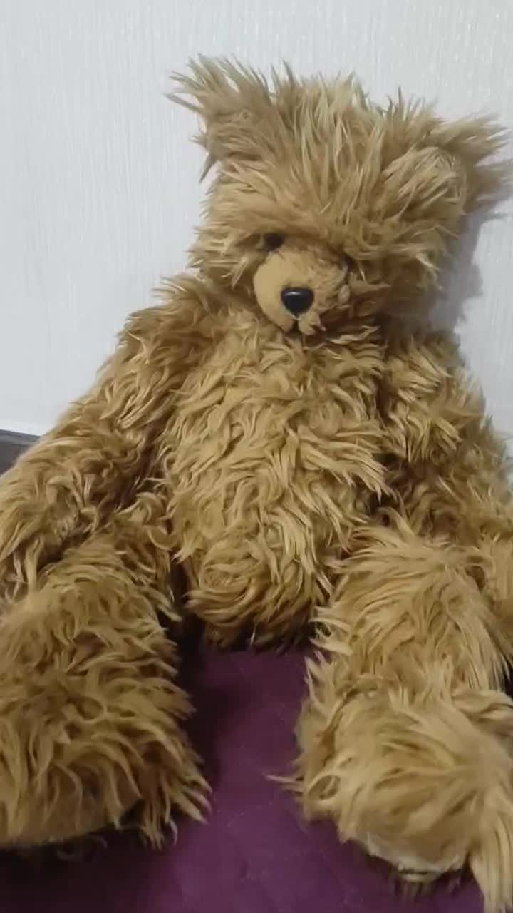 خرس بزرگ|اسباب‌بازی بچه|کرج, شهرک بنفشه|دیوار