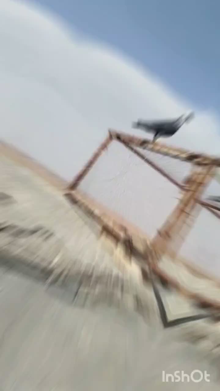 بزک|پرنده|مشهد, کوی پلیس|دیوار