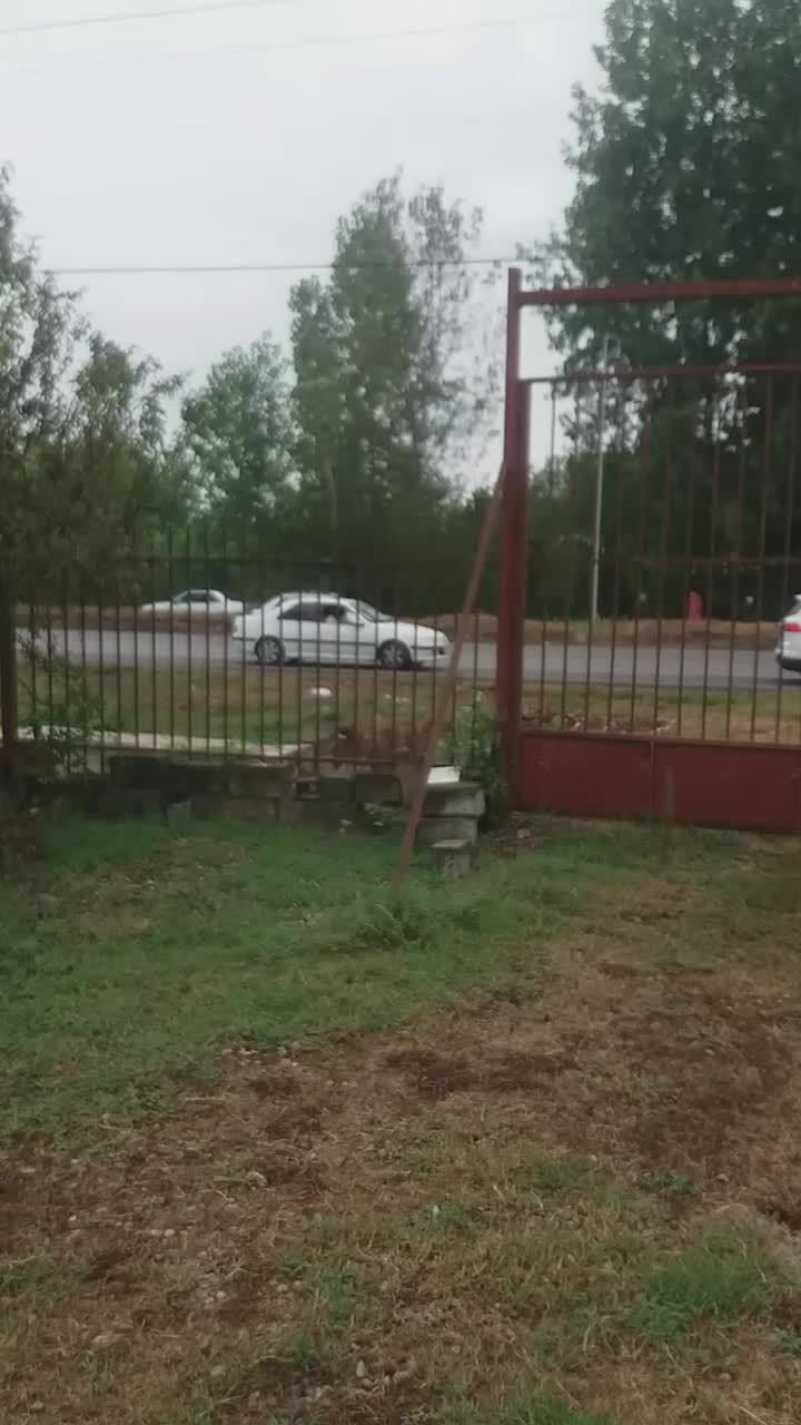 نمایشگاه خودرو ۲۵۸ متری بر اول اتوبان..سند دار.|فروش مغازه و غرفه|رشت, منظریه|دیوار