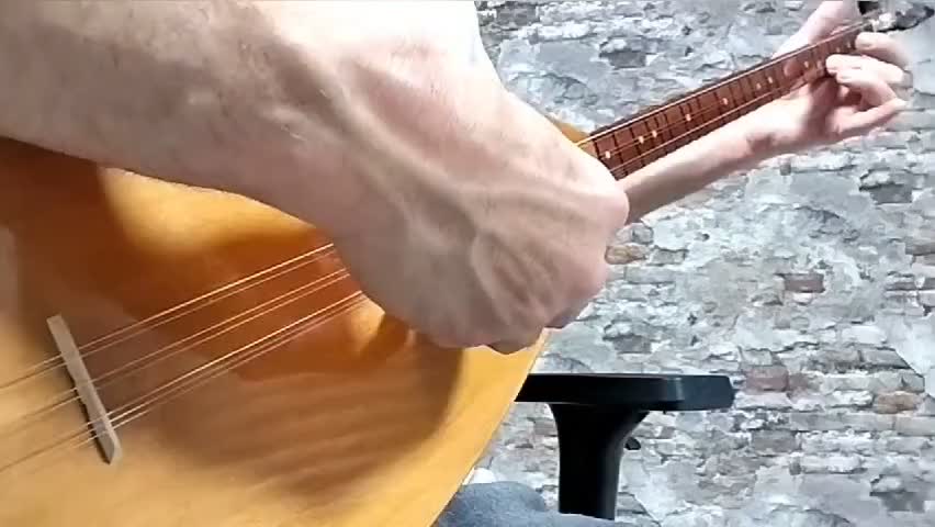 سازهای باغلاما ترکیه و لوازم جانبی|سازهای سنتی|قزوین, |دیوار