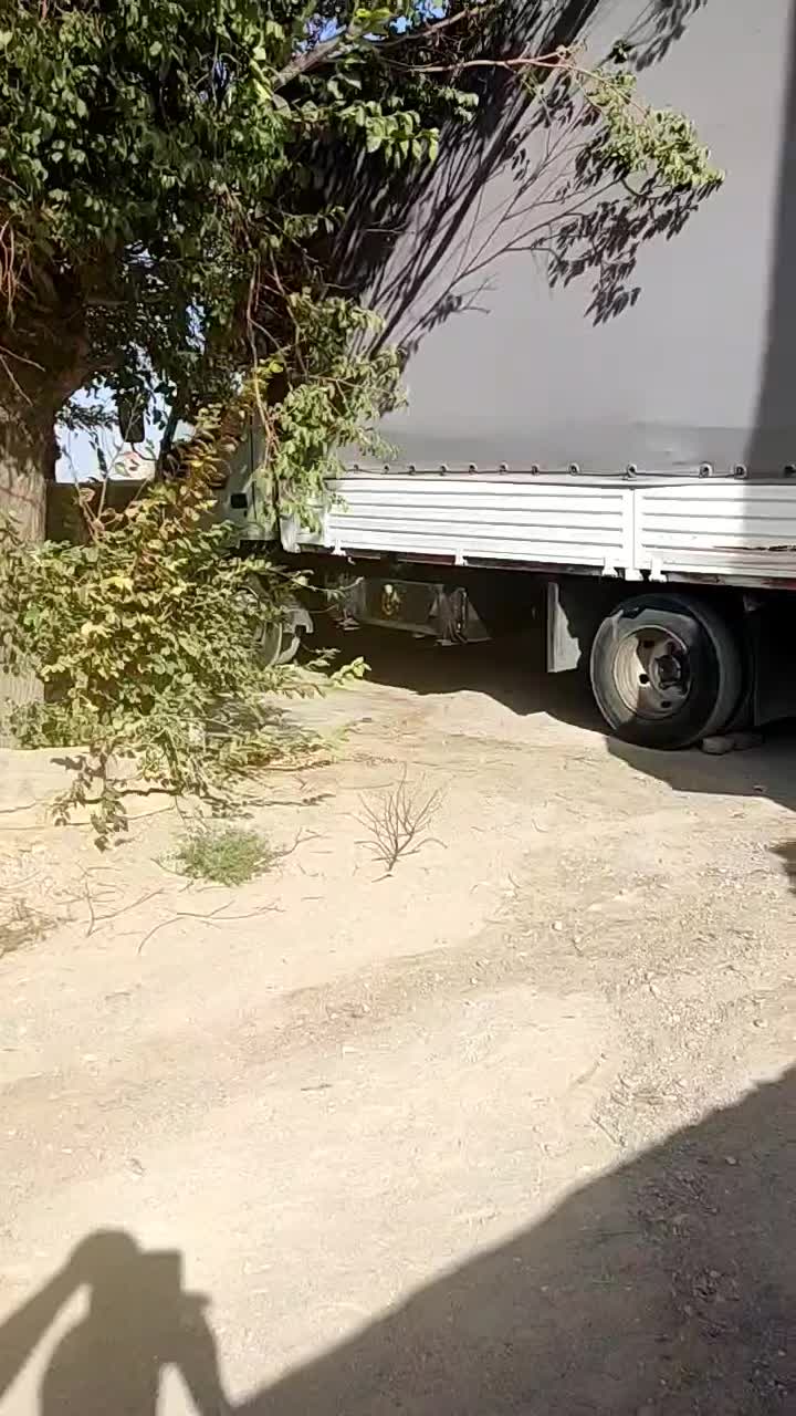 اسباب کشی و باربری|خدمات حمل و نقل|سیرجان, |دیوار