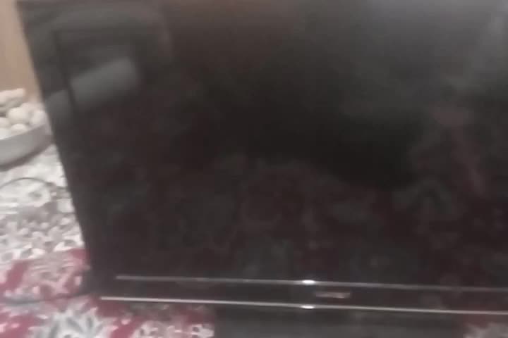 تلویزیون.32اینچ.اسنوا|تلویزیون و پروژکتور|گنبد کاووس, |دیوار