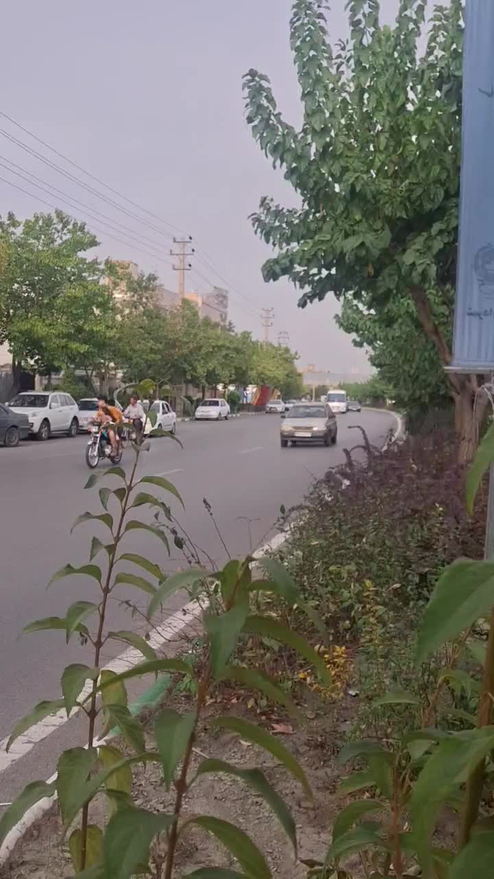 مینی بوس ایسوزو مدل ۸۹ نیمه دوم abs|خودرو سنگین|مشهد, رضاشهر|دیوار