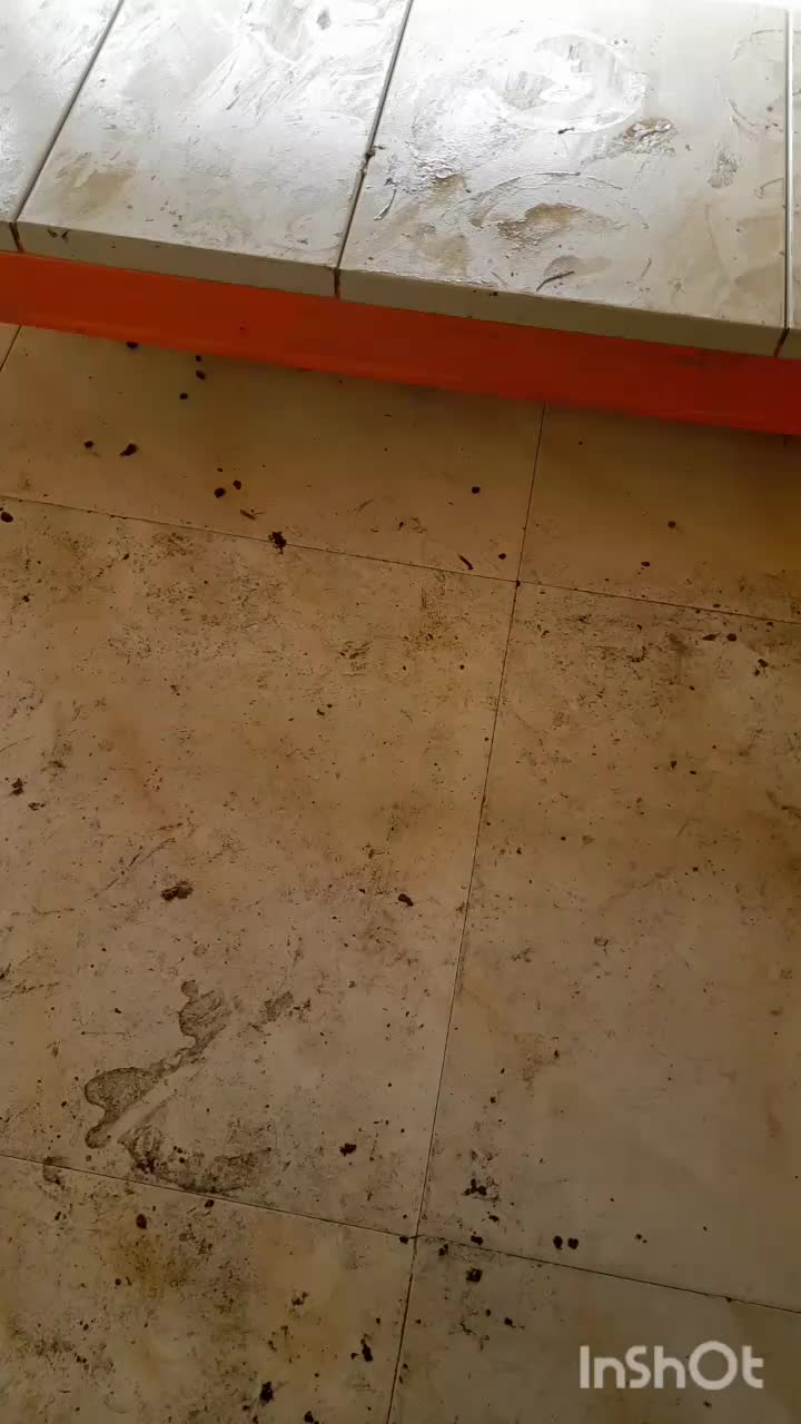 کشمش افتابی درگز ۱۹۰حراج|خوردنی و آشامیدنی|مشهد, عامل|دیوار