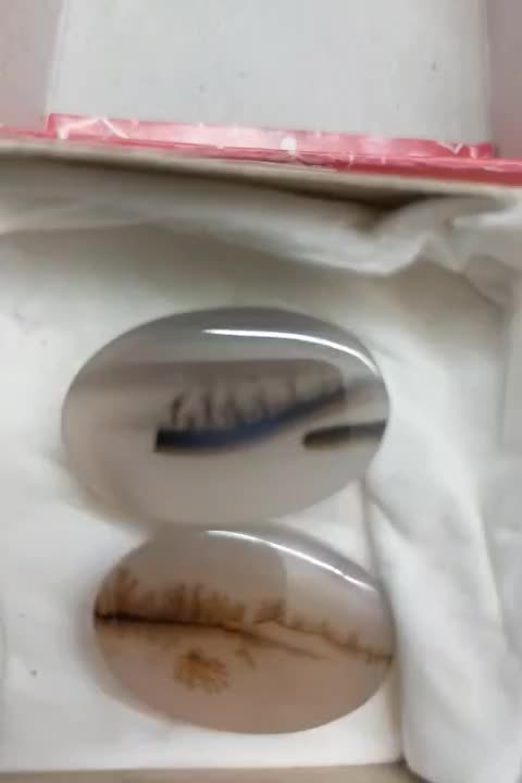 سنگ شجر|جواهرات|شیراز, باغ تخت|دیوار