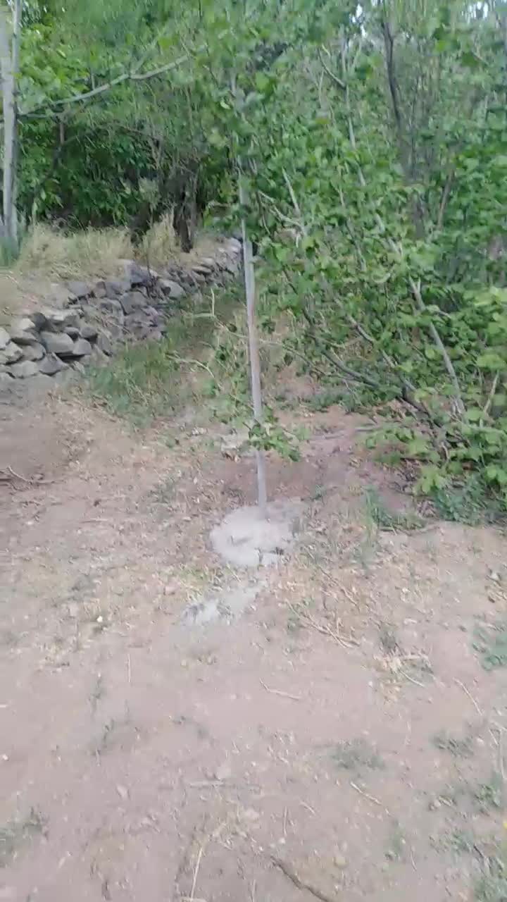 خونه باغ زیباروستای زیبای وشنوه بخش کهک|فروش زمین و ملک کلنگی|قم, شاه سید علی|دیوار