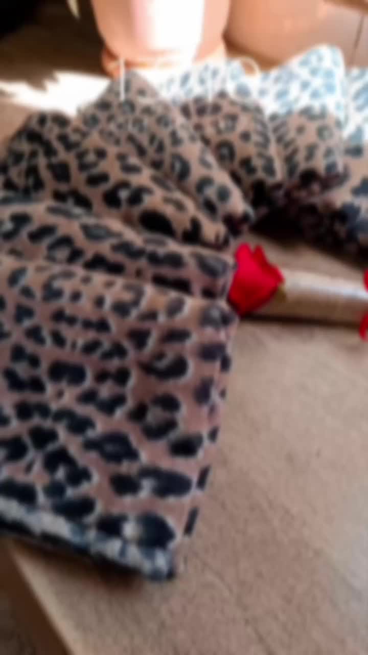 شال|لباس|بهارستان, |دیوار