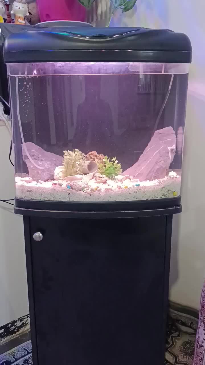 آکواریوم حرفه ای با لوازم کامل و میز|ماهی|زاهدان, |دیوار