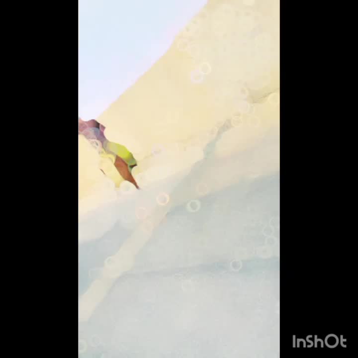 اسب عرب ایرانی|اسب و تجهیزات اسبسواری|سردرود, |دیوار