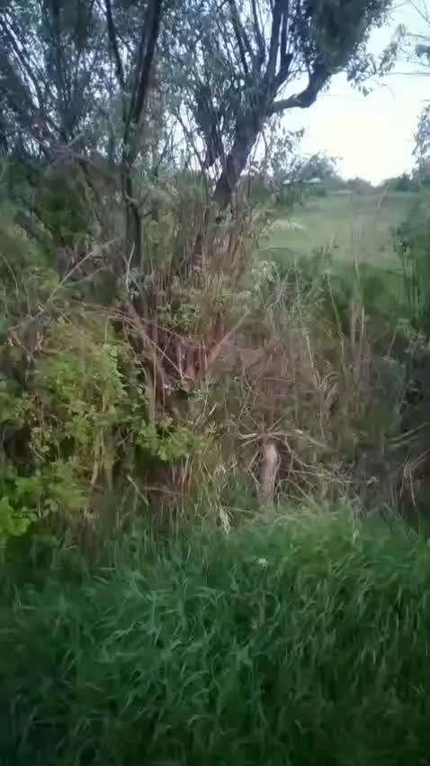 استخر ماهی ابی خاکی چک معاوضه تهاتر|فروش دفتر صنعتی، کشاورزی، تجاری|طالقان, |دیوار