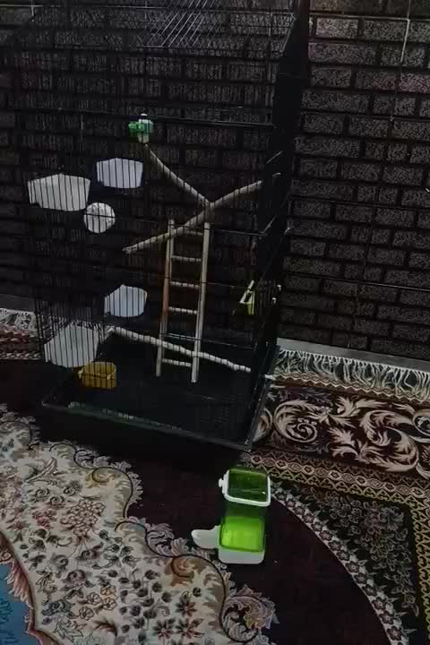 قفس|لوازم جانبی حیوانات|کارون, |دیوار
