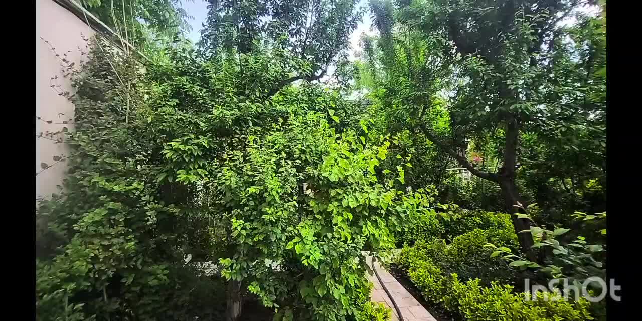 اجار ویلا کردان پایین تهراندشت استخر آبگرم چهارفصل|اجارهٔ کوتاه‌مدت ویلا و باغ|کرج, کمال‌شهر|دیوار