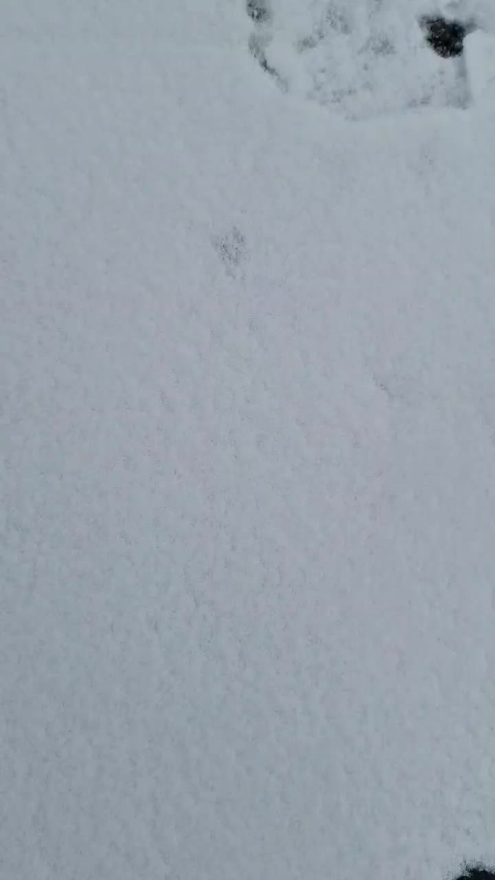 پژو۴۰۵.tu5|خودرو سواری و وانت|خوی, |دیوار