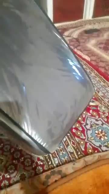 صندلی|پزشکی|زاهدان, |دیوار