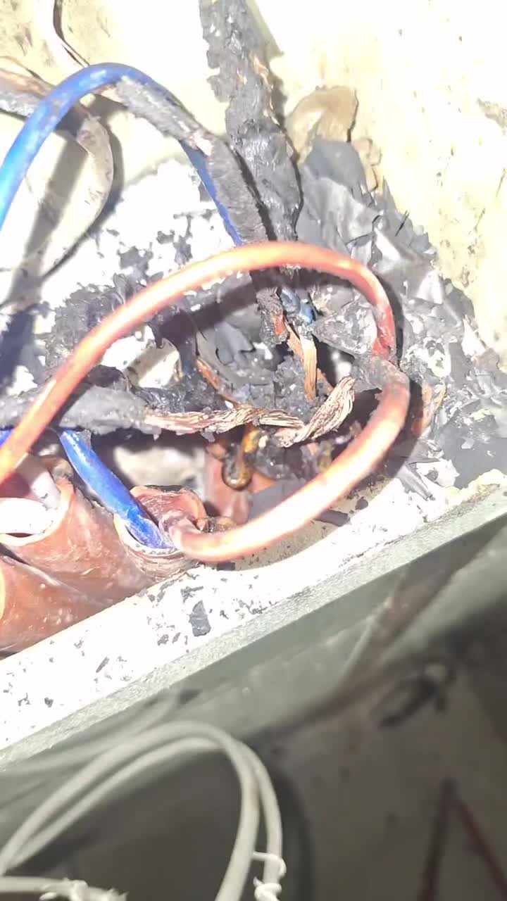 برقکار|خدمات پیشه و مهارت|تهران, ستارخان|دیوار