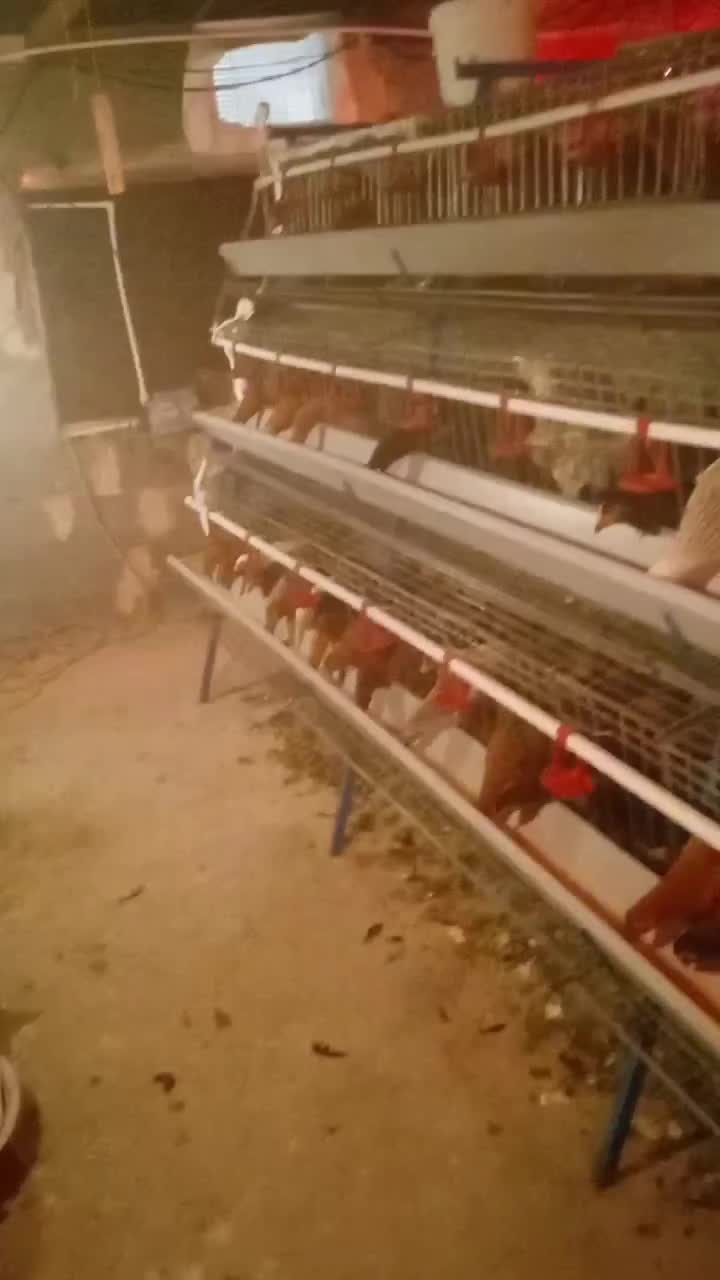 لوازم مرغداری(قفس منبری)|ماشینآلات صنعتی|قنوات, |دیوار