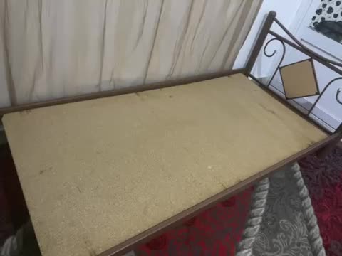 تخت یک نفره فلزی بدون تشک خواهشن مشتری واقعی|تخت و سرویس خواب|بندرعباس, |دیوار