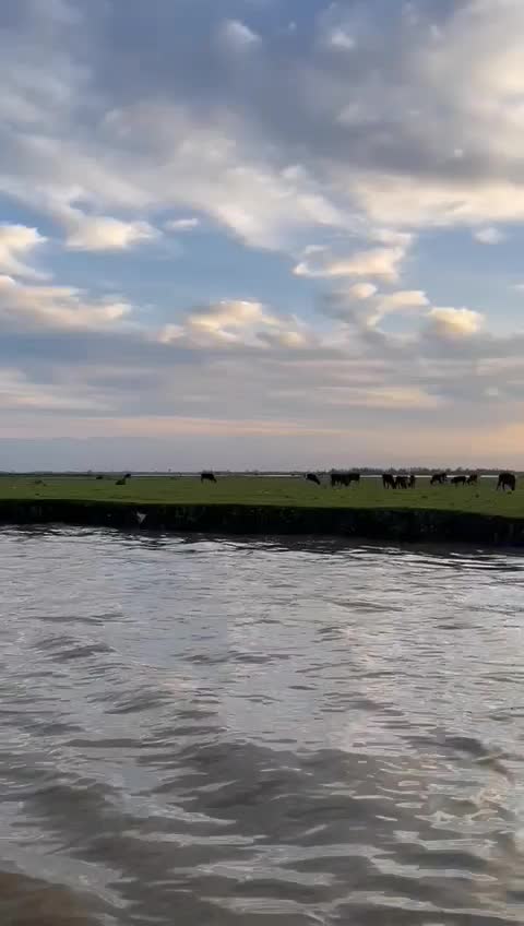 اسکله گردشگردی قایق مبله موزیکال سیستم دار|تور و چارتر|بندر انزلی, مصلی|دیوار