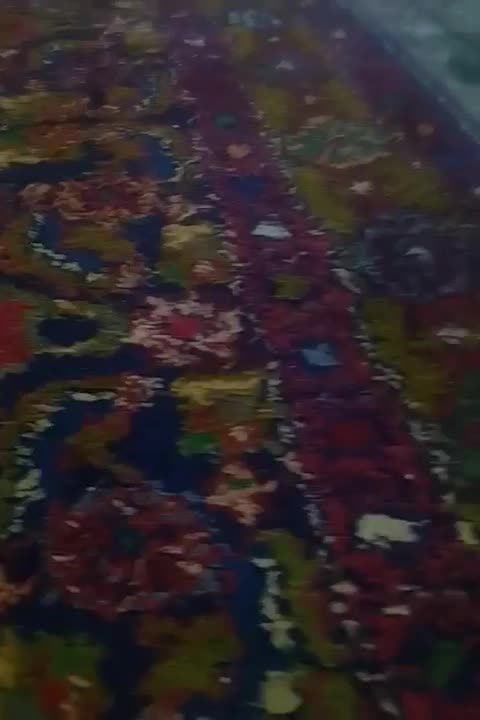 فرش دستبافت قدیمی ۴تا از هر عکس دوتا|فرش|قشلاق دشت, |دیوار