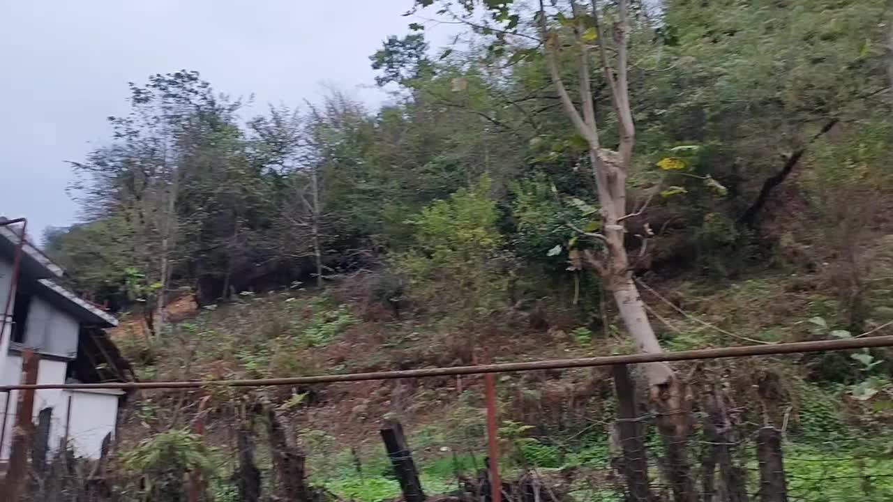 ویلا سنتی تک خوابه نیلاش|اجارهٔ کوتاه‌مدت ویلا و باغ|شاندرمن, |دیوار