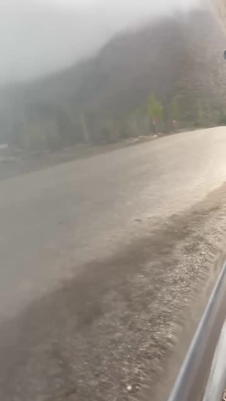 پژو۲۰۶ مدل ۸۴|خودرو سواری و وانت|علی‌آباد کتول, |دیوار