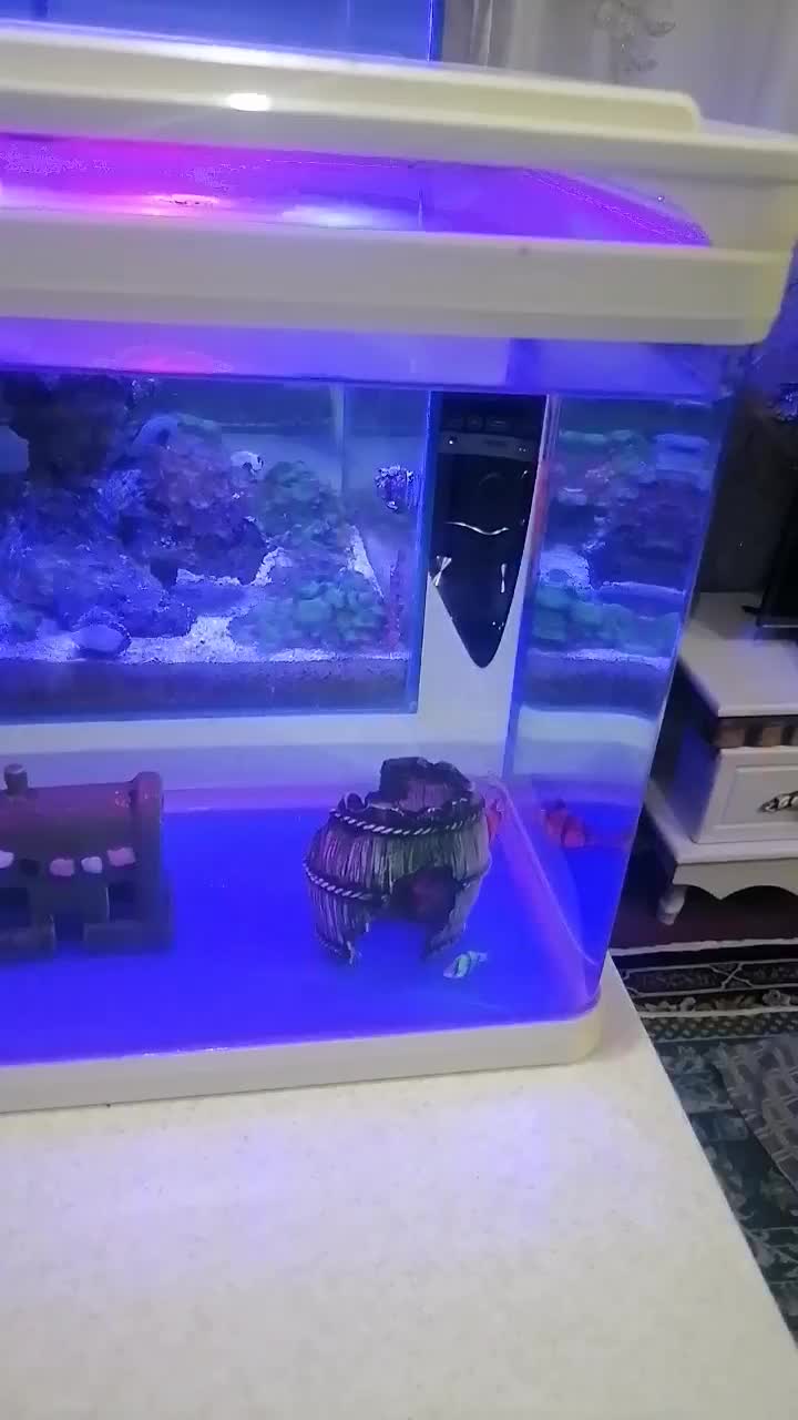 آکواریوم شیشه خم شرکتی کمری بک سامپ با لوازم وماهی|ماهی|تهران, دژکام|دیوار