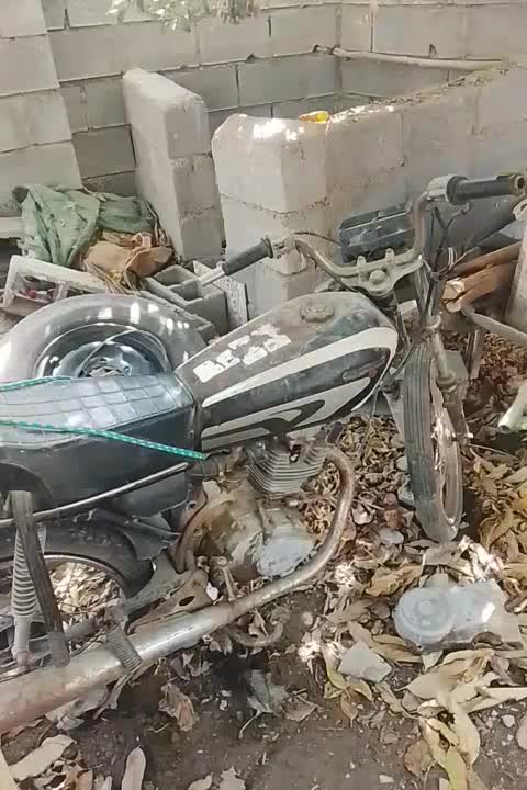 برای فرش|فرش|میناب, |دیوار