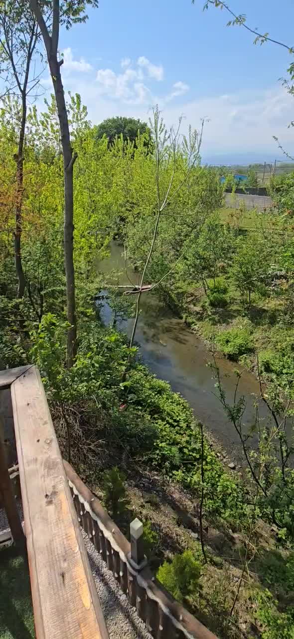 کلبه سوئیسی لب رودخونه گیسوم روستای گتگسر|اجارهٔ کوتاه‌مدت ویلا و باغ|اسالم, |دیوار