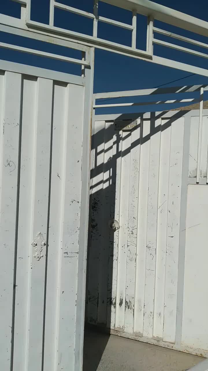 اجاره یک دستگاه سوئیت در صغاد خ وحدت|اجارهٔ خانه و ویلا|بهمن صغاد, |دیوار