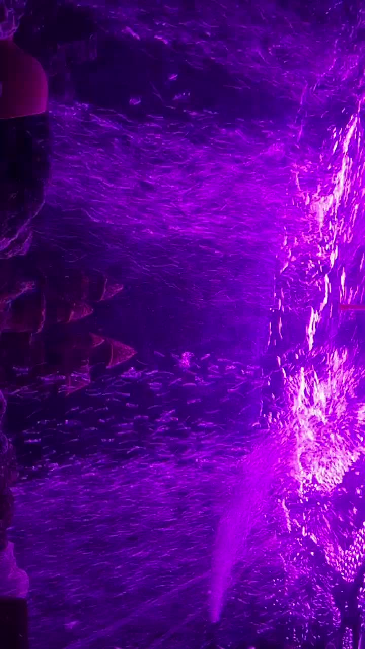 اکواریوم شیشه خم ۸ میل با تمام تجهیزات و پایه|ماهی|مشهد, هفده شهریور|دیوار