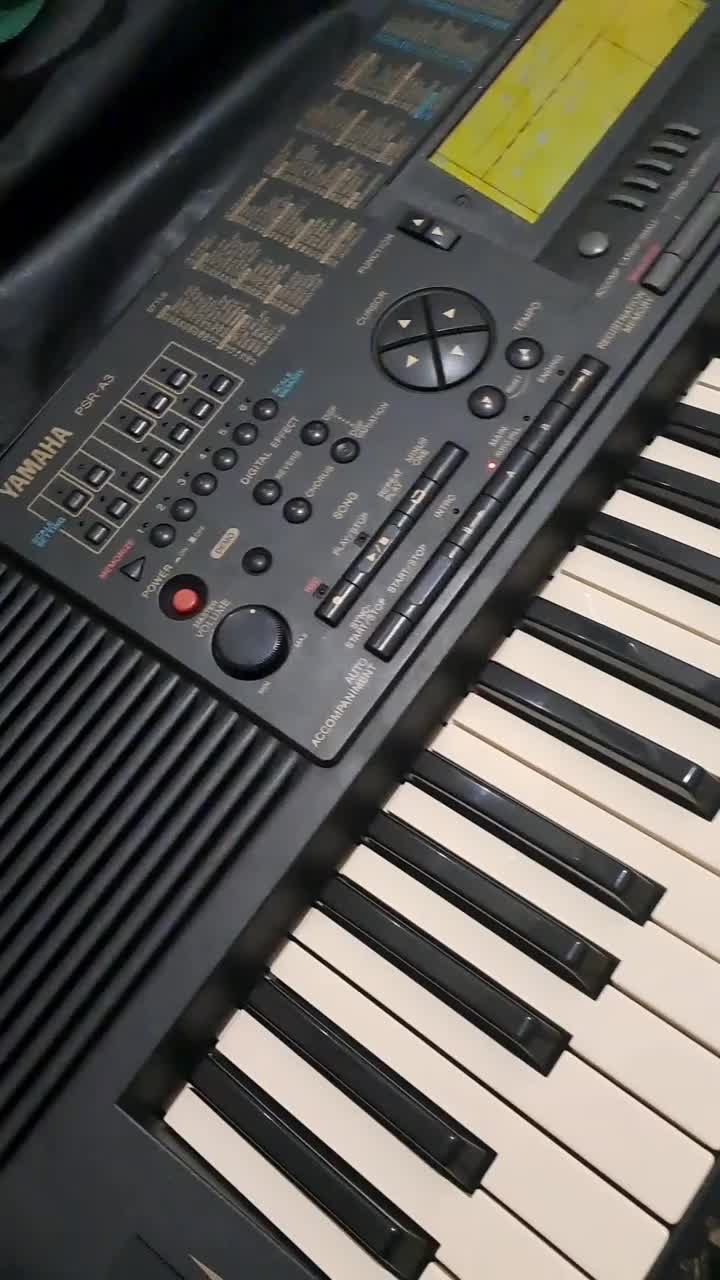 ارگ یاماها YAMAHA PSR-A3|پیانو، کیبورد، آکاردئون|اهواز, کوی سعدی|دیوار