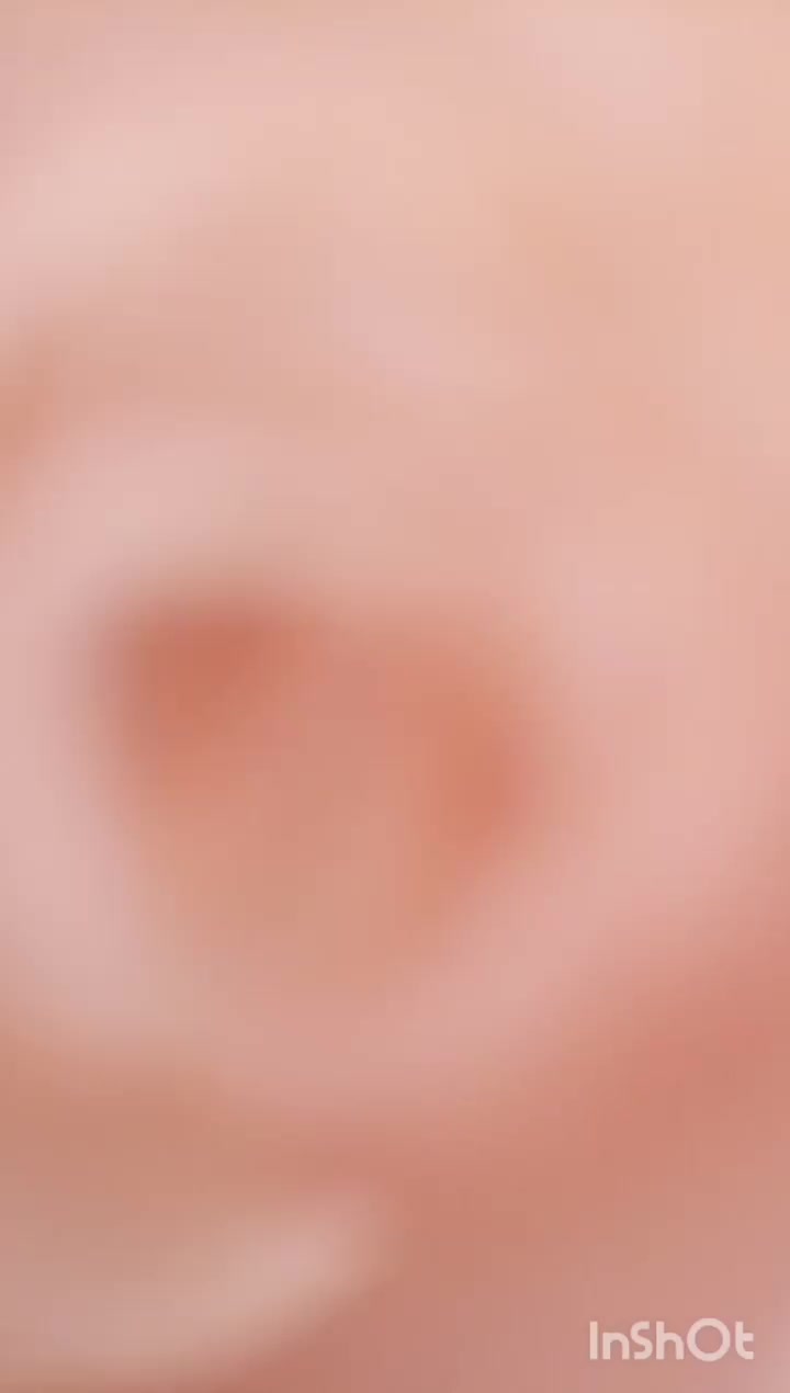 رز روبانی اماده|گل مصنوعی|شیراز, شهرک گلها|دیوار