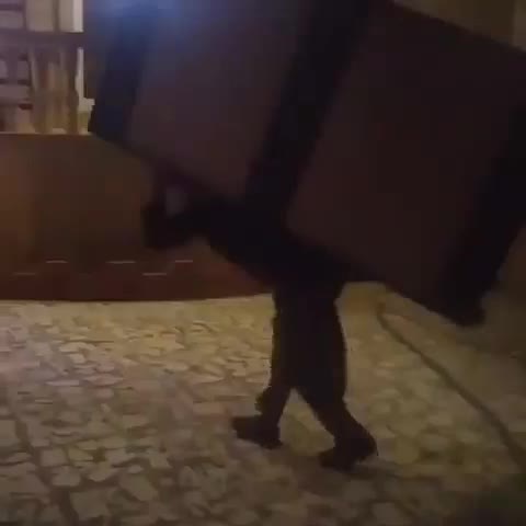 شرکت حمل ونقل واثاث کشی شهروشهرستان کرامت باراهواز|خدمات حمل و نقل|اهواز, پادادشهر|دیوار