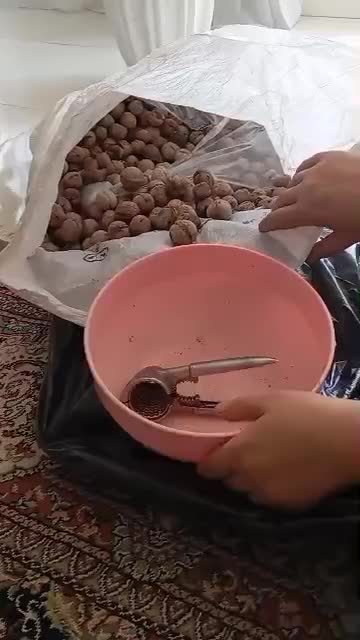 گردو درجه دو،سپیدان|خوردنی و آشامیدنی|شیراز, شهرک امیر کبیر|دیوار